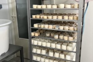 Fromage de chèvre fermier au lait cru entier